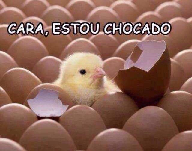 meme top